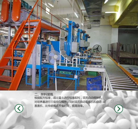 食用菌臭氧消毒機(jī)