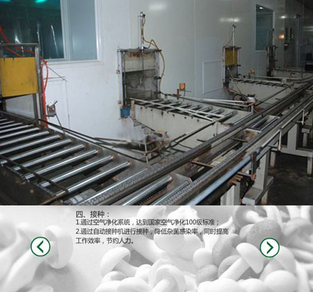 外置式食用菌臭氧消毒機(jī)