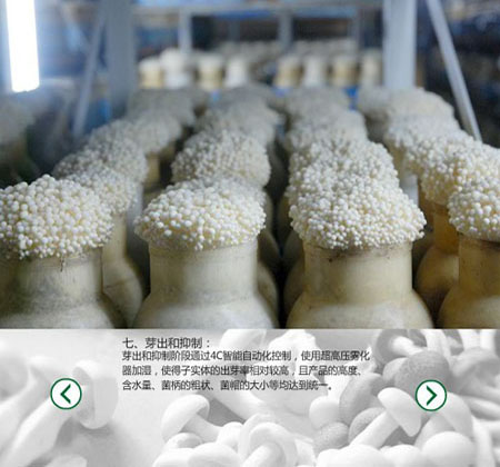 臭氧發(fā)生器消毒