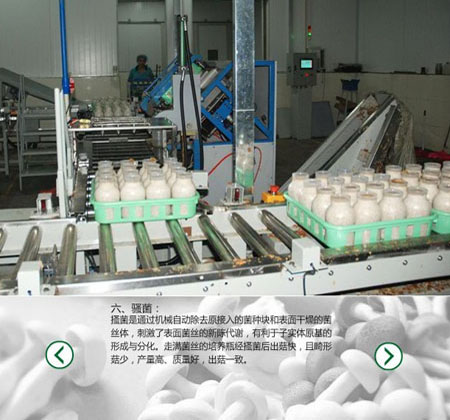 食用菌空氣消毒設(shè)備