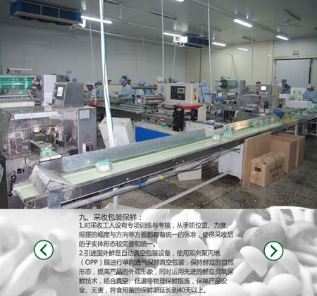 空氣消毒用臭氧發(fā)生器