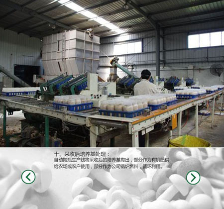 食用菌專用臭氧發(fā)生器